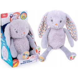 Edukacyjny królik Franio